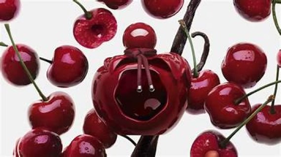 Aucune image 
